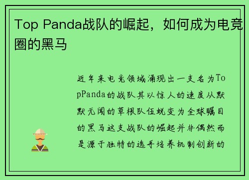 Top Panda战队的崛起，如何成为电竞圈的黑马